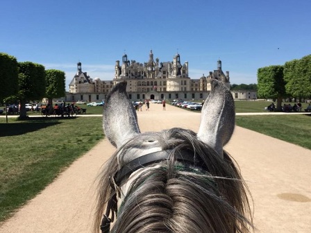 Explore the Beautiful Loire Valley on Horseback 