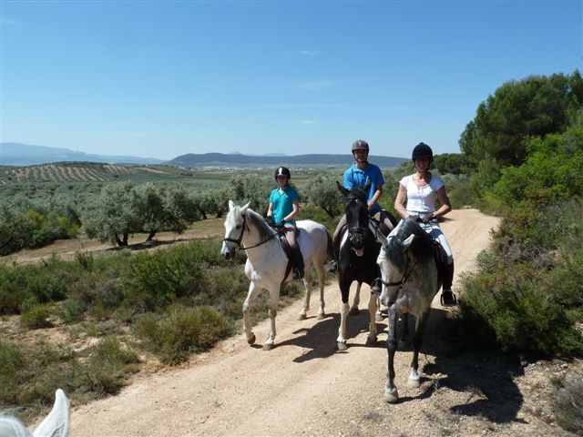 Ride In Majestic Malaga 