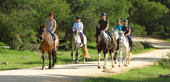 Top 10 Horse Riding Holidays In Spain