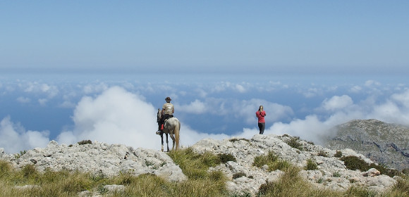 Ride In Mallorca 