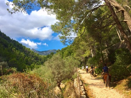 Mallorcan Monastery Trail 