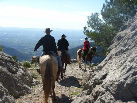 Ride In Mallorca 