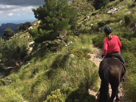 Mallorcan Monastery Trail 