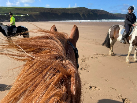 Horses Riding Devon Horse Riding Holiday Devon | Riding Holidays UK | Beach Riding Devon