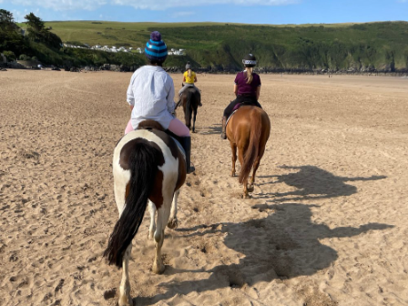 Horses Riding Devon Horse Riding Holiday Devon | Riding Holidays UK | Beach Riding Devon