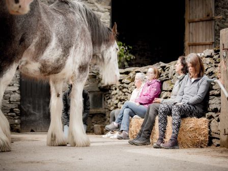 Coastal Riding Retreat In The Lake District 