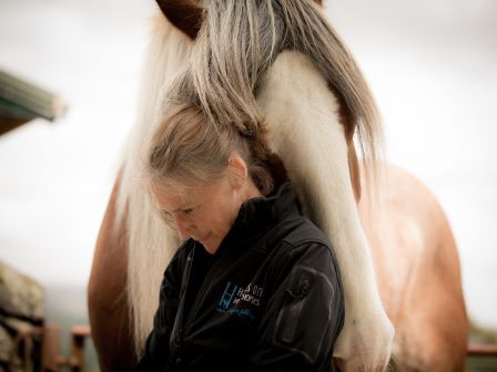 Coastal Riding Retreat In The Lake District 