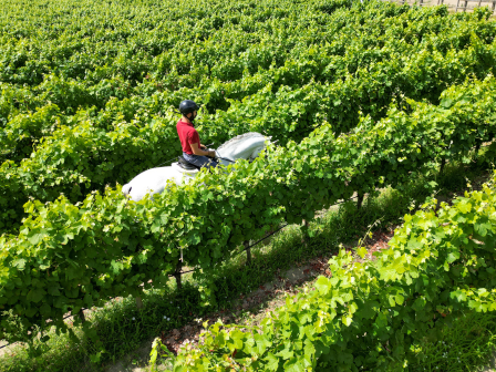 Trail and Train Portugal
