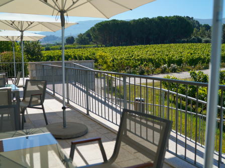 Trail and Train Portugal