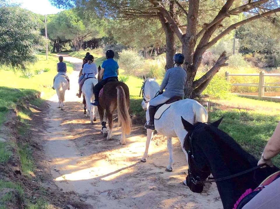 Horse Riding Holidays Algarve | Riding Holiday Portugal | Lusitano Horses