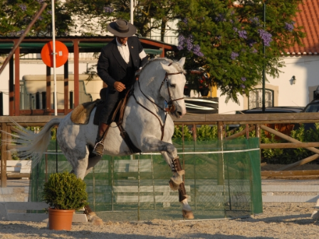 Golegã Horse Fair & Ride