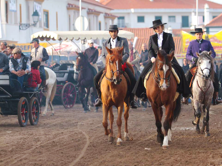 Golegã Horse Fair & Ride