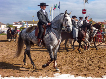 Golegã Horse Fair & Ride