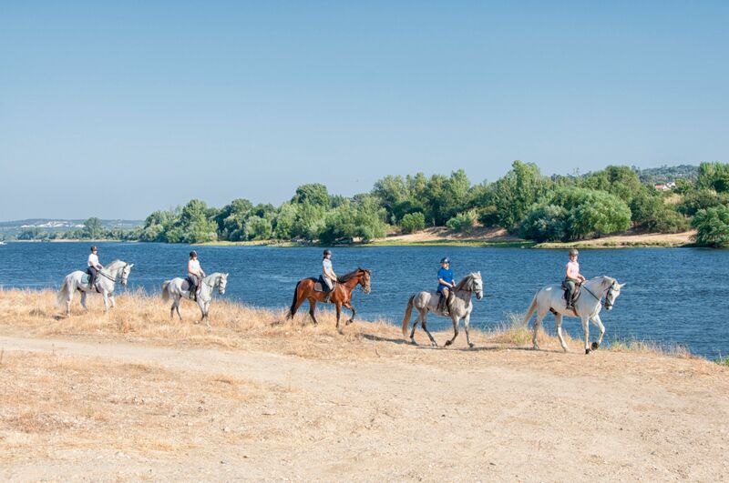 Ride in the Sun Portugal