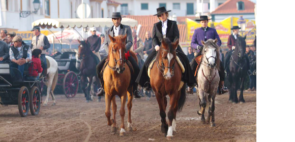 Golegã Horse Fair & Ride