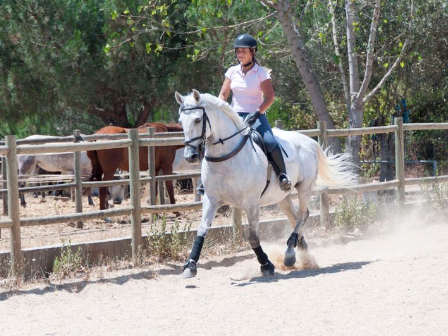 Golegã Horse Fair & Ride