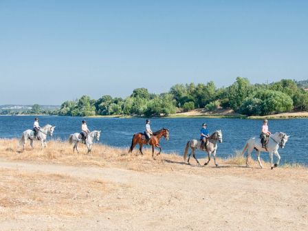 Golegã Horse Fair & Ride