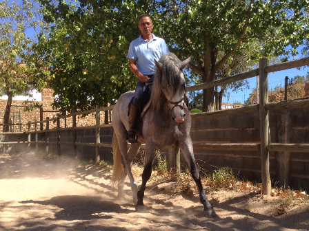 Ride In The Sun
