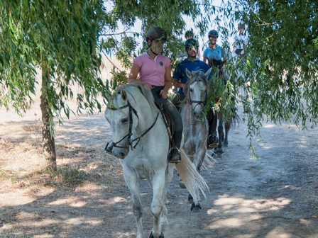 Golegã Horse Fair & Ride