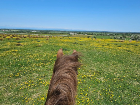 Adult 1 week break in Scotland