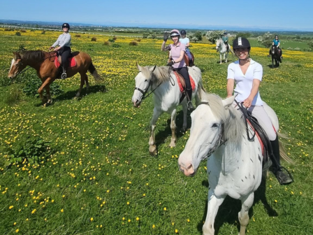 Adult 1 week break in Scotland