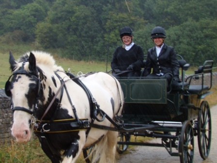 Carriage Driving Break in Sherwood