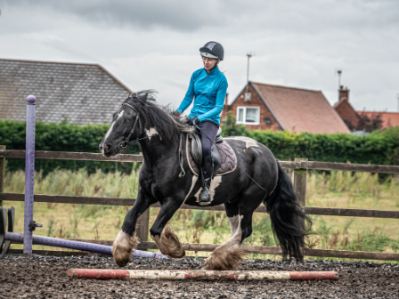 Family Riding Holiday Sherwood