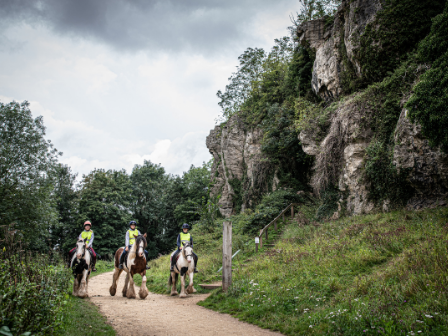 Family Riding Holiday Sherwood