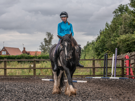 Family Riding Holiday Sherwood