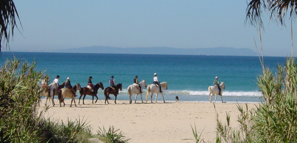 Flexible Beach Ride 