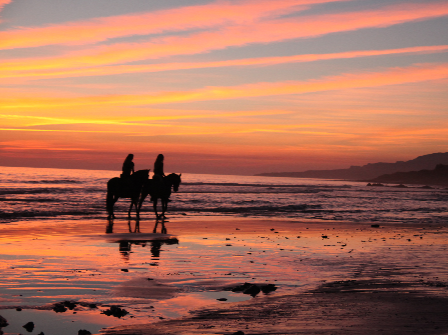 Flexible Beach Ride 