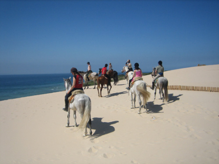 Flexible Beach Ride 