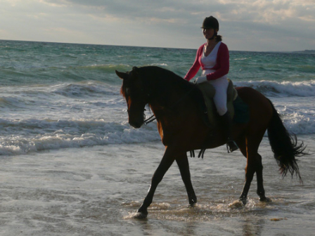 Flexible Beach Ride 