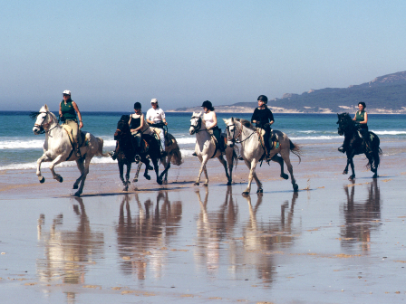 Flexible Beach Ride 