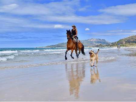 Flexible Beach Ride 