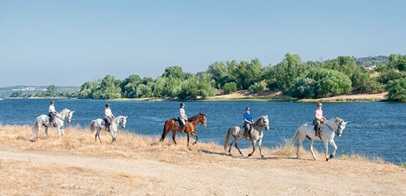 Horse Riding Holidays Portugal Algarve Beach